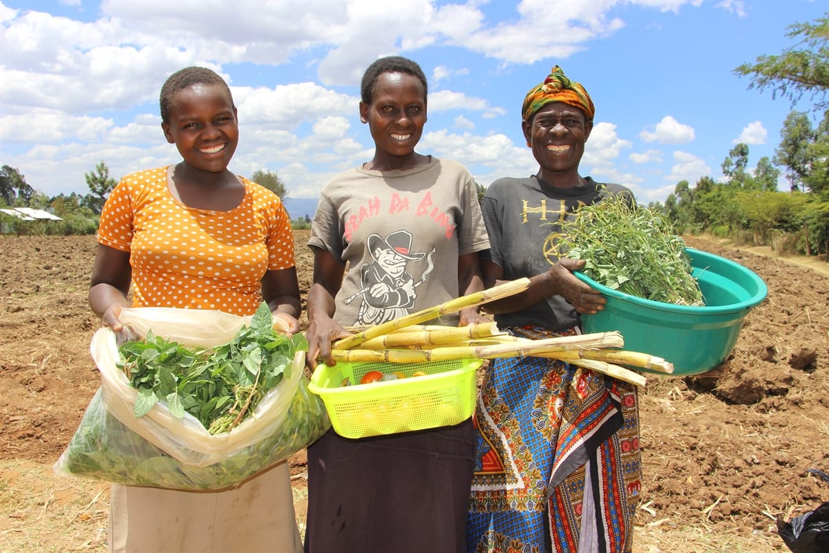 One Million Reached, One Business at a Time